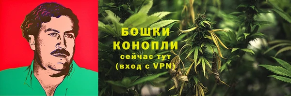 PSILOCYBIN Осташков
