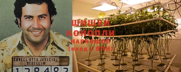 PSILOCYBIN Осташков