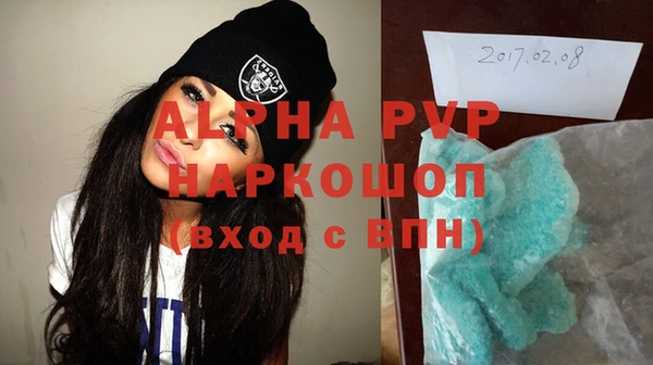 PSILOCYBIN Осташков
