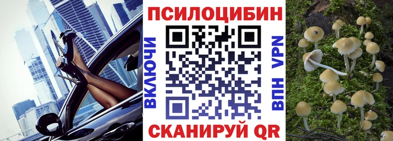 купить сайты Новая Усмань darknet какой сайт Псилоцибиновые грибы GOLDEN TEACHER